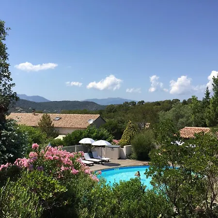Stella D'oro